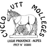 Cv molleges