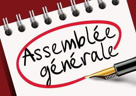 Assemblee generale