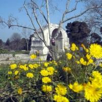 Saint-Rémy de Provence, Site Glanum