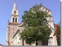 Saint-Cannat, l'Eglise
